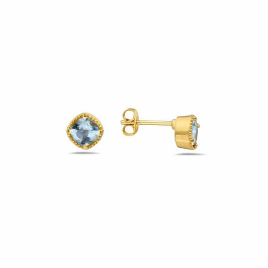 Anatoli Collection Vermeil Aquamarine Earrings