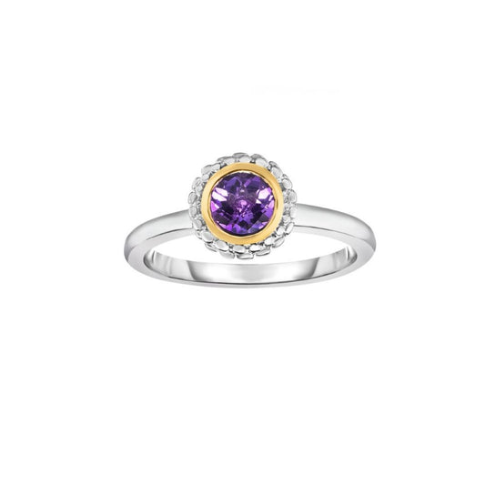 Phillip Gavriel Collection Sterling Silver & 18kt Amethyst Ring