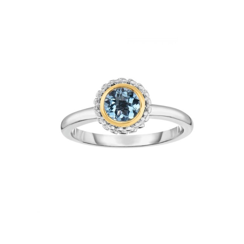 Phillip Gavriel Collection Sterling Silver & 18kt Blue Topaz Ring