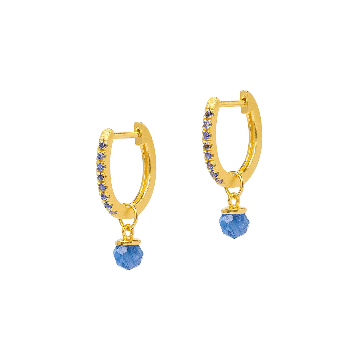 Bernd Wolf Collection Sapphire & Kyanite Earrings