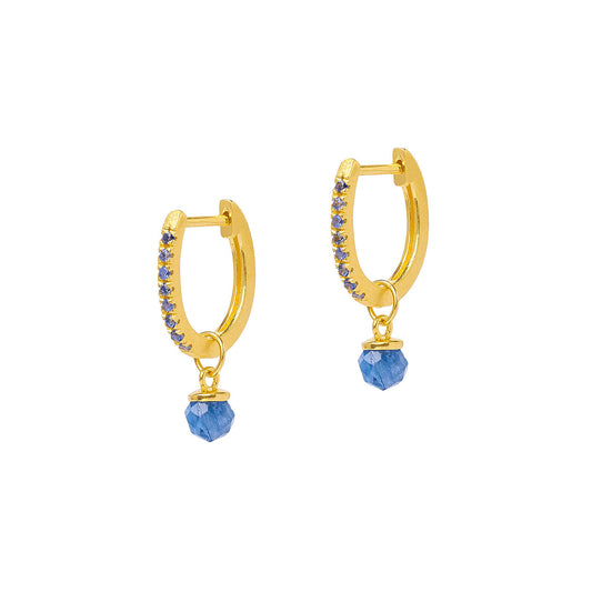 Bernd Wolf Collection Sapphire & Kyanite Earrings