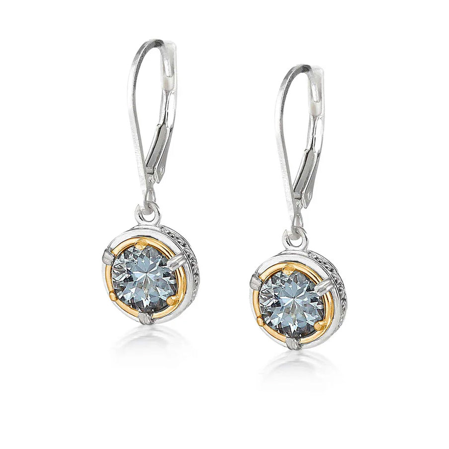 Anatoli Collection Aquamarine Earrings (sml)