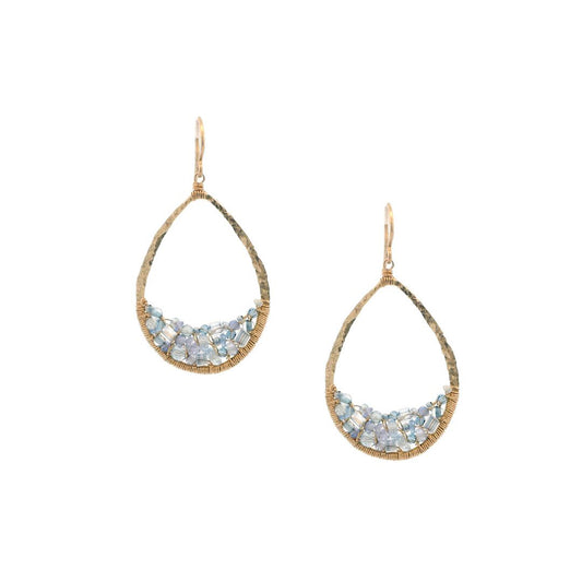 Dana Kellin Collection Blue Crystal & Tanzanite Earrings