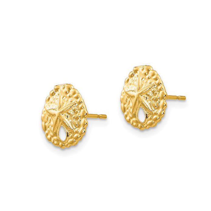 14K Yellow Gold Sand Dollar Post Earrings