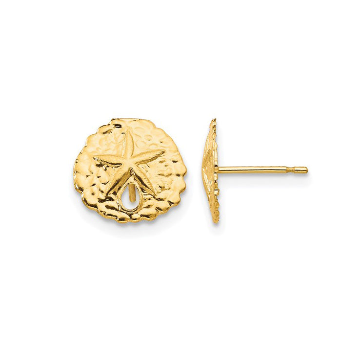 14K Yellow Gold Sand Dollar Post Earrings
