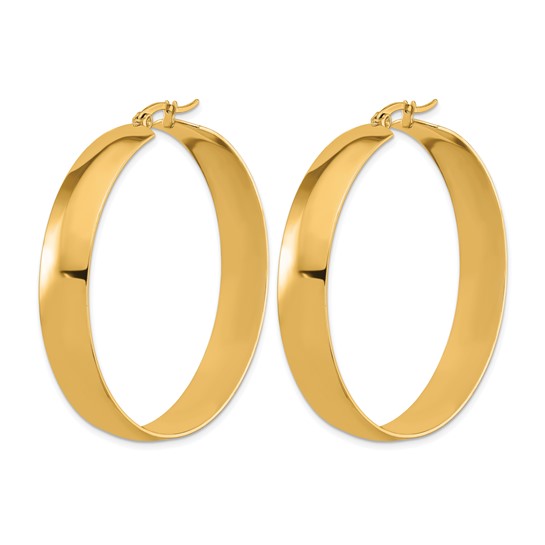 Stainless Steel IP-Plated Hoop Earrings