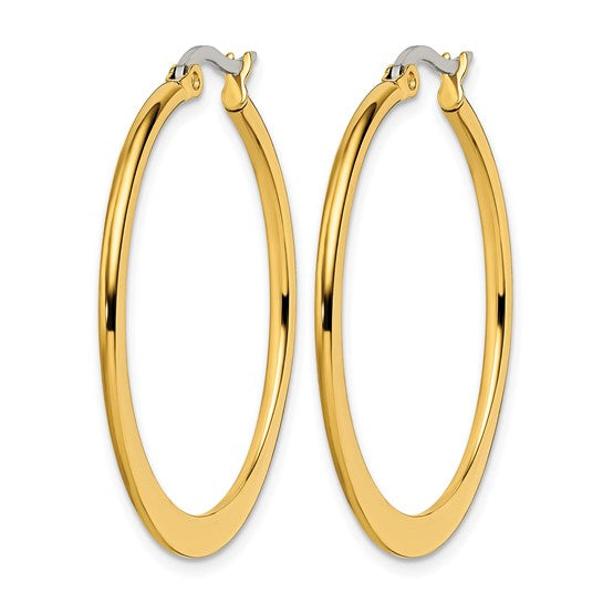 Stainless Steel IP-Plated Hoop Earrings